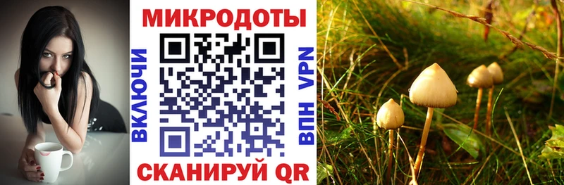 Галлюциногенные грибы ЛСД  Юрьев-Польский 